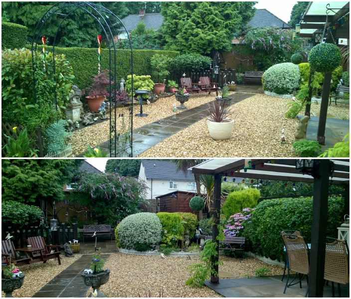 Garden 1