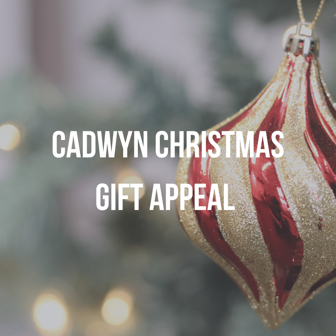 Cadwyn Ch 1