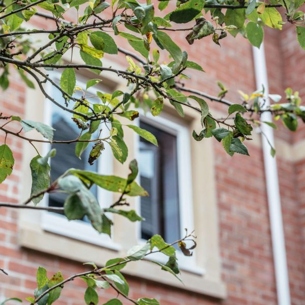 24 Jul 0845 NIKON D5(17) 24 Jul 0845 NIKON D517