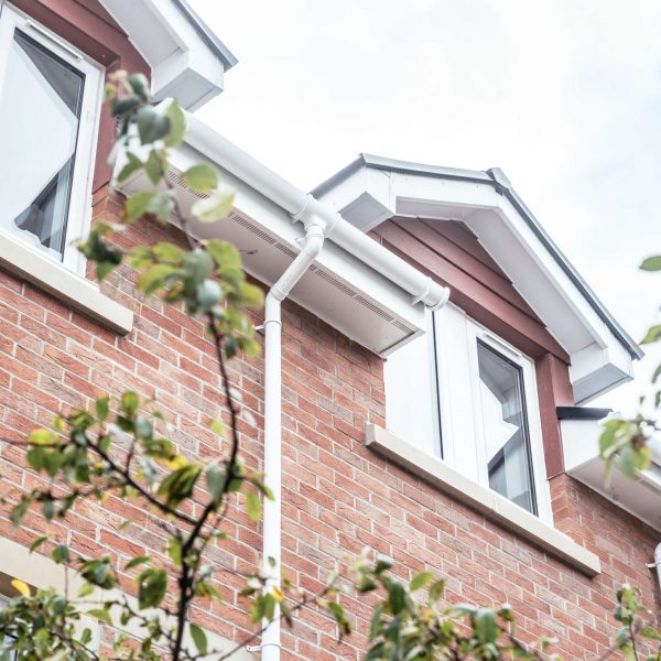 24 Jul 0846 NIKON D5(20) 24 Jul 0846 NIKON D520