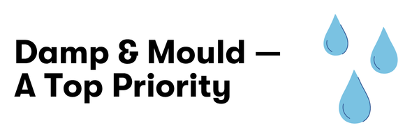 Damp & Mould - A Top Priority